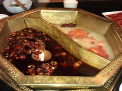 鸳鸯中辣锅-蜀九香火锅(彩虹店)
