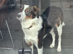 -Onirii Coffee(长乐路店)