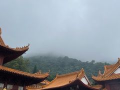 -深圳仙湖植物园