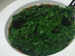 -圆苑(上海广场店)