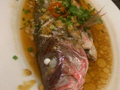 -桃源春晓中餐厅 TaoYuan Restaurant