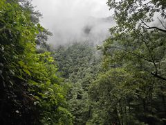 -苍山感通索道