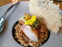 北海道带子烩麦仁-EN SPACE恩空间