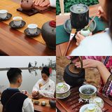 春游踏青好去处｜重庆最美茶园就在这儿🍃