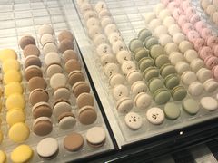 -BLACKSWAN黑天鹅(环球店)