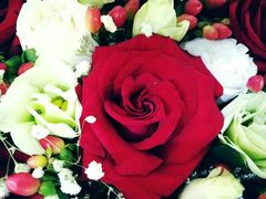 -那些花儿鲜花店(小寨店)