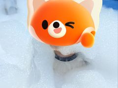 -苏州湾梦幻水世界