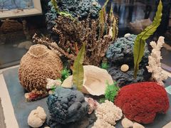 -天津自然博物馆