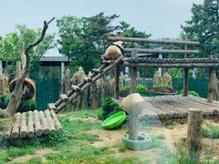 -大连森林动物园