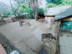 -昆明动物园