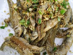-全乐鱼馆·淳牌有机鱼直营店