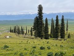 -新疆那拉提国家旅游度假区