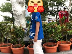 -鱼尾狮公园