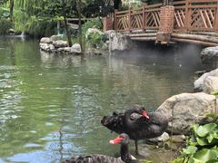 -天毓山庄·餐厅