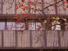 -烈士陵园(地铁站)