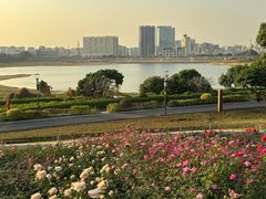 -立新湖公园