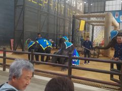 -东芭乐园