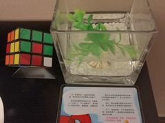 -桔子水晶苏州吴江步行街酒店