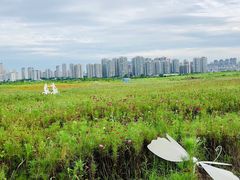 -汉江湾体育公园