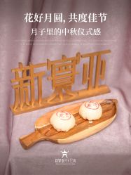 -新寰亚月子会所(金鸡湖凯宾店)