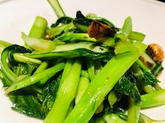 油渣生炒菜心-桂满陇天书(南京德基旗舰店)