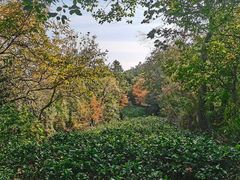 -虞山风景区