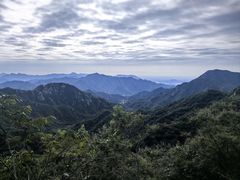 -大岭沟猕猴桃谷风景区