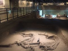 -洛阳周王城天子驾六博物馆