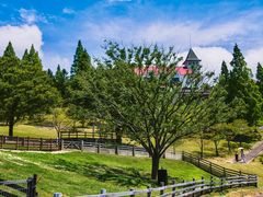 -神户市立六甲山牧场