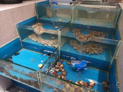 -瑞安辰茂阳光酒店自助餐