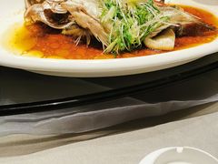 -苏州金科大酒店