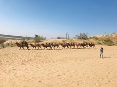 -黄沙古渡原生态旅游区