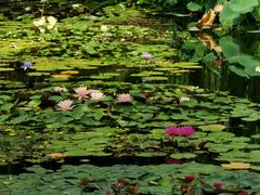 -国家植物园南园