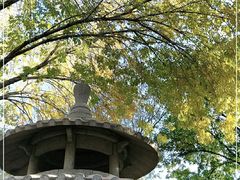 -玲珑塔公园