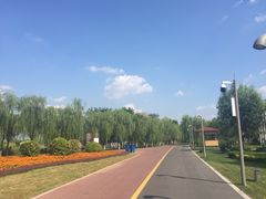 -武清南湖绿博园