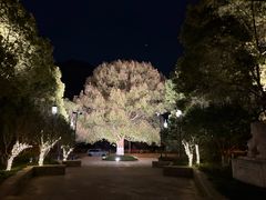 -余姚阳明温泉山庄