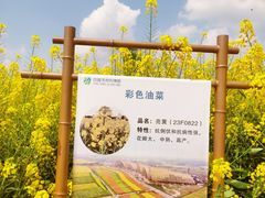 -中国天府农业博览园