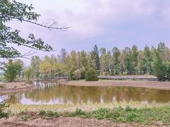 -野鸭湖国家湿地公园