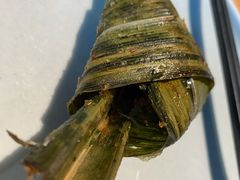 香兰叶包鸡-生如夏花泰式火锅(鹭洲里店)