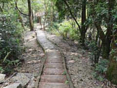 -火炉山森林公园