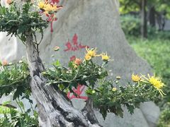 -陶然亭公园