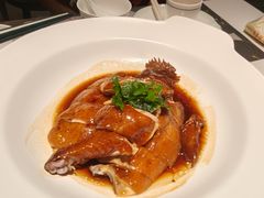 -新兴·金羊座·粤菜点心(乐峰店)