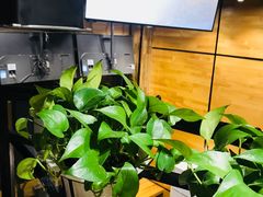 -海盗虾饭·剥好的小龙虾饭(上地辉煌店)