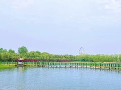 -兰陵国家农业公园