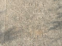 -广西壮族自治区药用植物园