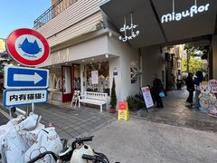 -溪岸路花鸟市场