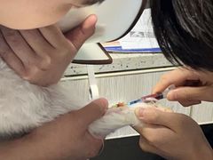 -半岛宠物医院24小时(科华中路店)