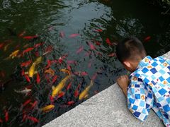 -西安华清御汤酒店