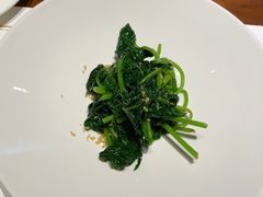 -觀芷隐轩