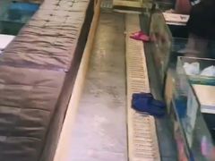 -泰国鱼疗足疗馆